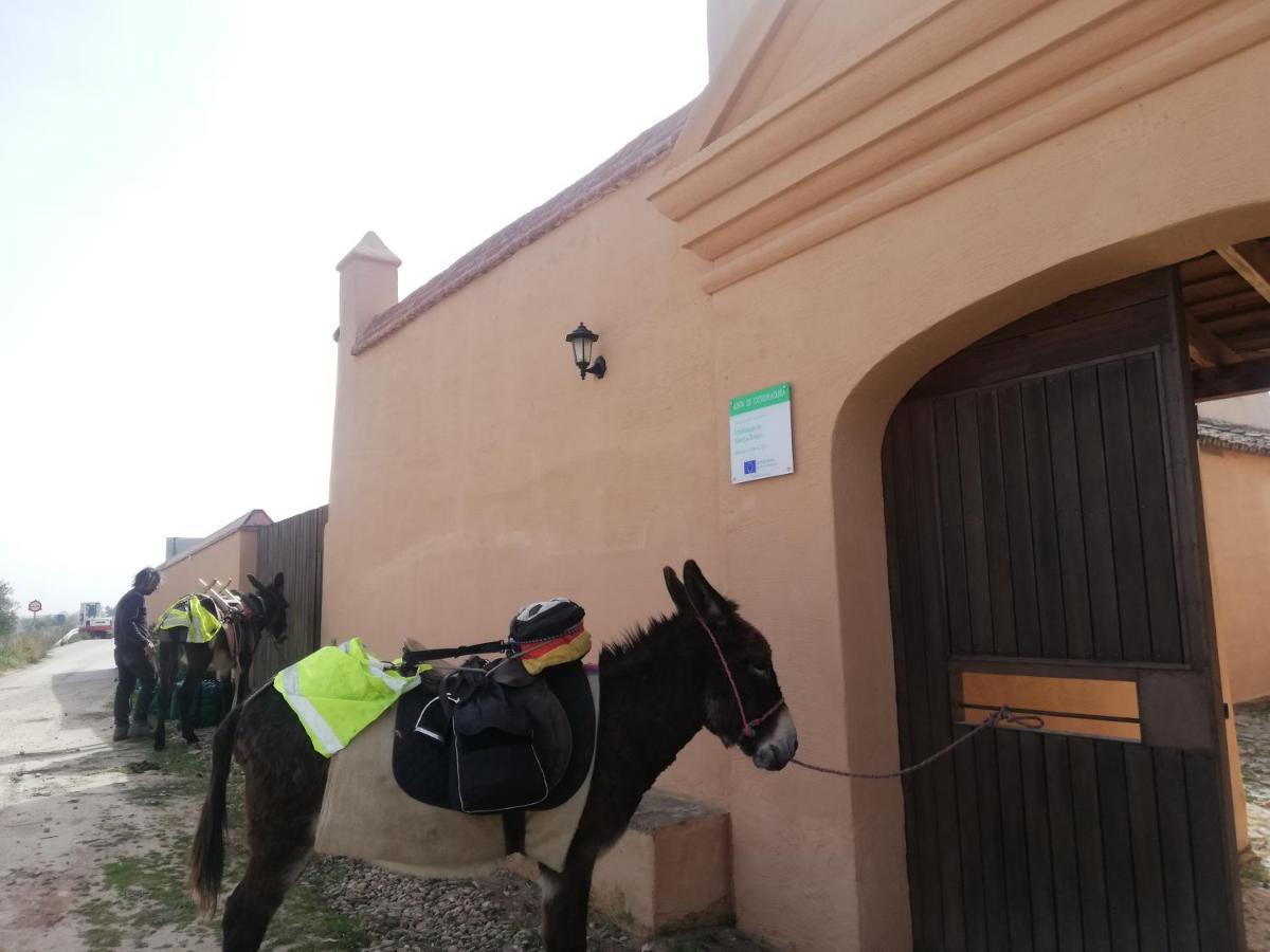 Albergue Turistico La Almazara Вильяфранка-де-лос-Баррос Экстерьер фото