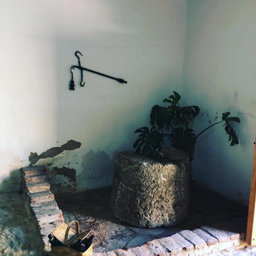 Albergue Turistico La Almazara Вильяфранка-де-лос-Баррос Экстерьер фото